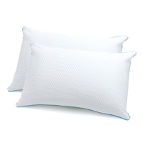 Jason Kooling Pillow 2 Pack