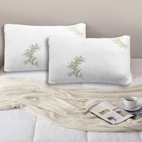 Ramesses 2 Pack Standard Bamboo Memory Foam Pillows with Bonus Bamboo Jacquard Pillow Protectors