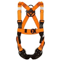 Essential Harness With Quick Release Buckle - Standard