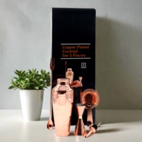 Copper 5-Piece Cocktail Kit Gift Set