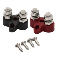 Victron Dual Terminal Stud M8-Linked Set (1 Red & 1 Black)