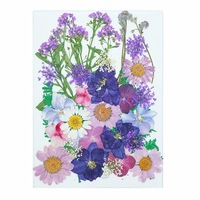 Jewellry Making Dried Flowers Purple