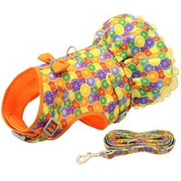 Cute Printed Dog Harness And Leash