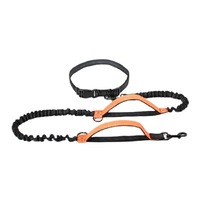 Hands Free Dog Leash Dual Padded Handle