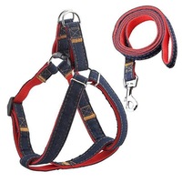 Premium Denim Leash & Harness
