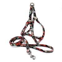 Reflective Nylon Dog Harness & Lead