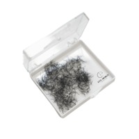 Eye Design Handmade Wide 5D C Curl Fans - 0.07 - Synthetic mink