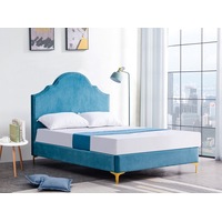 Aqua Velvet Upholstered Bed Frame Queen Size/Velvet Bed/Steel Legs