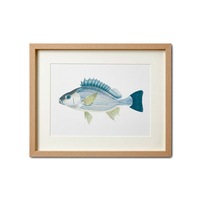 Sea Life Print 1