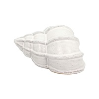 Shell Ceramic Decor