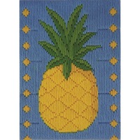 Beutron Long Stitch Kit Kids Beginner Pineapple
