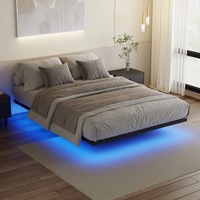 Ufurniture Floating Bed Frame Queen Size with LED Lights Metal Platform Queen Bed