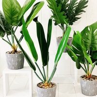 Artificial Assorted Ferns in Grey Decorative Pot