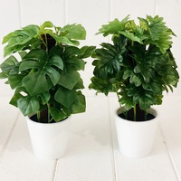 Artificial Monstera & Philodendron in Pot