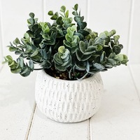 Eucalyptus Bush in Speckled Ceramic Pot