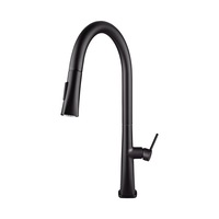 Kitchen Tap Matt Black DR Brass Pull Out Laundry Sink Mixer Tap Swivel Spout Basin Faucet