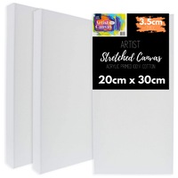 12 x THICK ARTIST STRETCHED CANVAS 20X30cm - Cotton White Blank Canvases Panel