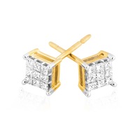 9ct Yellow Gold Princess Cut with 1/4 CARAT tw of Diamonds Stud Earrings