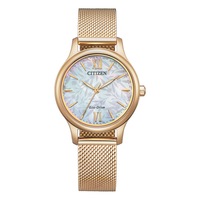 Citizen Eco-Drive Mesh Women's Watch EM0892-80D