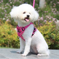 Breathable Mesh Dog cat Harness Reflective Puppy Dogs Cat Vest Harness