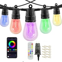 15m Outdoor Festoon Lights with Remote & APP - S14 LED RGB String Lights