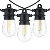 53FT 15+1 LED Outdoor String Lights Warm White