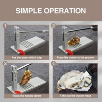 Portable Stainless Steel Oyster Shucking Tool with Accessories