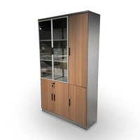 RYE Glass Door Display File Cabinet