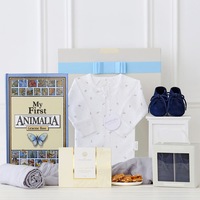 Baby Boy Shoes Hamper in Navy