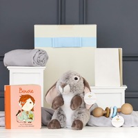 Sweet Bundle Baby Boy Hamper: David Bowie