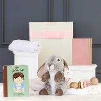 Sweet Bundle Baby Girl Hamper: Jane Austen