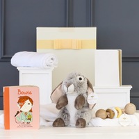 Sweet Bundle Baby Hamper: David Bowie