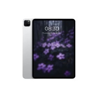 Refurbished Apple iPad Pro 4th Gen 11in Wi-Fi + Cellular