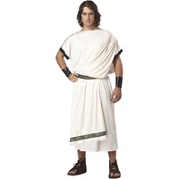 Classic Toga Mens Costume