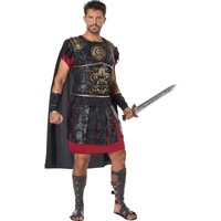 Roman Warrior Mens Costume